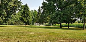 FB_IMG_1567796144585